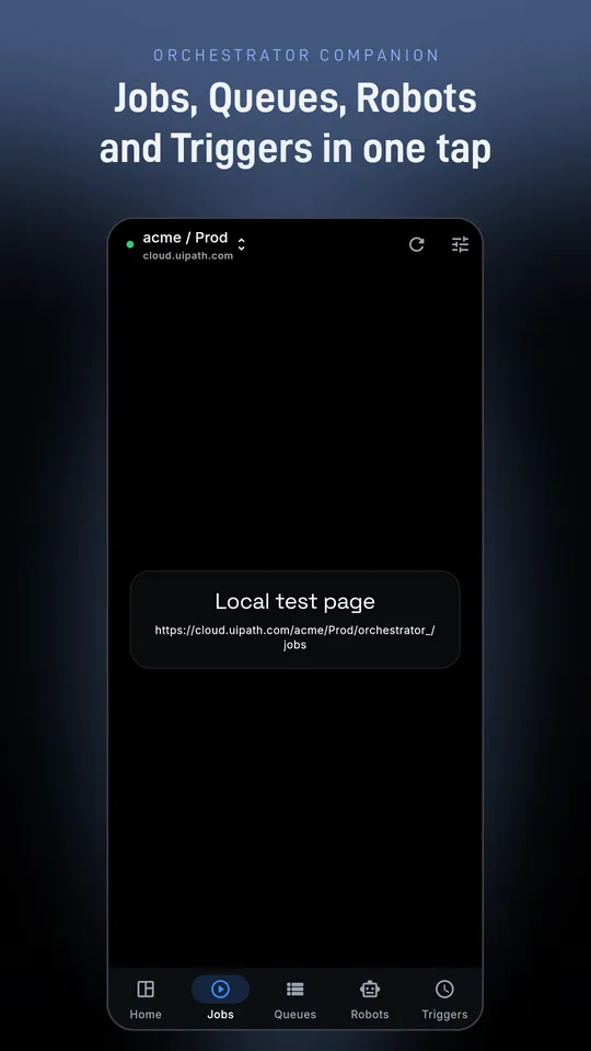 Jobs tab of a saved tenant with Home, Jobs, Queues, Robots and Triggers tabs
