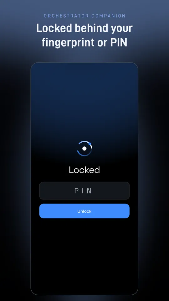 Lock screen asking for the app PIN