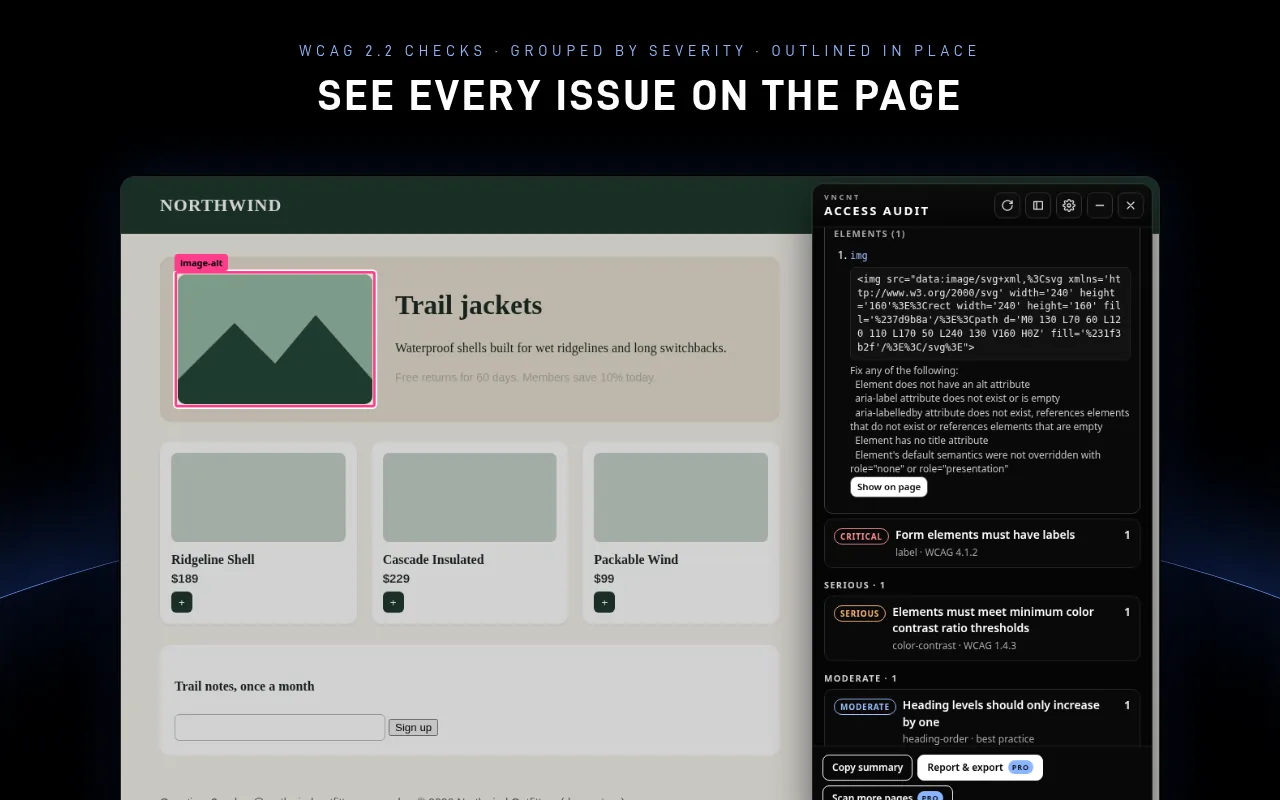 Access Audit panel open on a demo store page, listing issues by severity while the affected image is outlined on the page