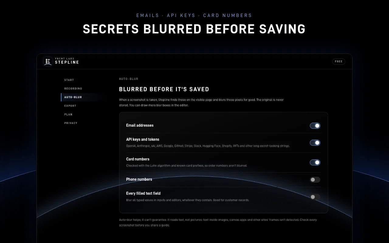 Stepline auto-blur settings for emails, API keys, card numbers, phone numbers and filled fields
